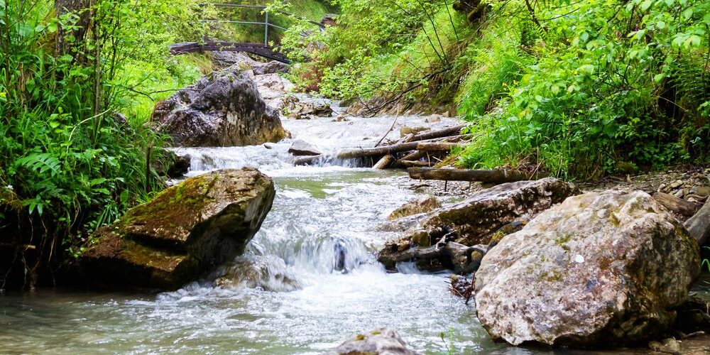 entspannungshormone-selbstgemacht